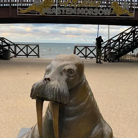 아파트 Niebieskie Lato 미엘노